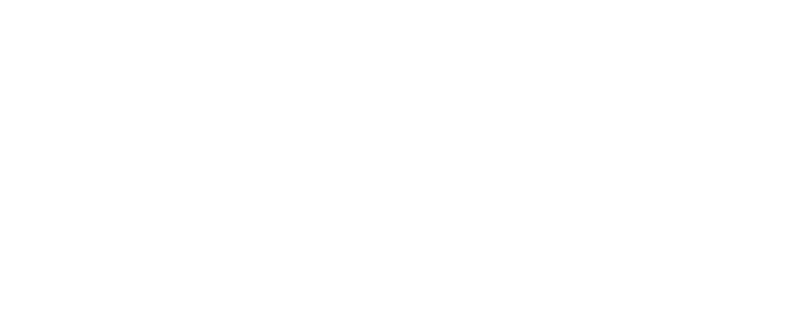 Effie_Awards_Czech Republic_White_RGB
